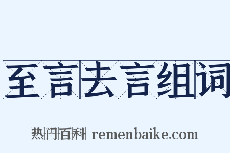 至言去言组词是什么意思的图片